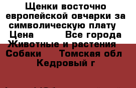 Щенки восточно европейской овчарки за символическую плату › Цена ­ 250 - Все города Животные и растения » Собаки   . Томская обл.,Кедровый г.